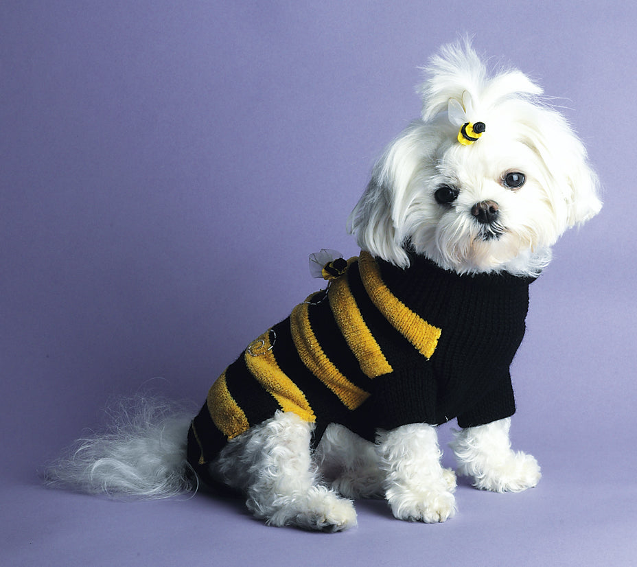 New Website with New Pet Products
