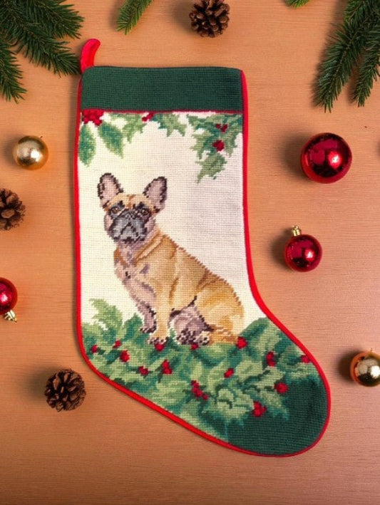 Frenchie Fawn French Bulldog with holly leaves and berries