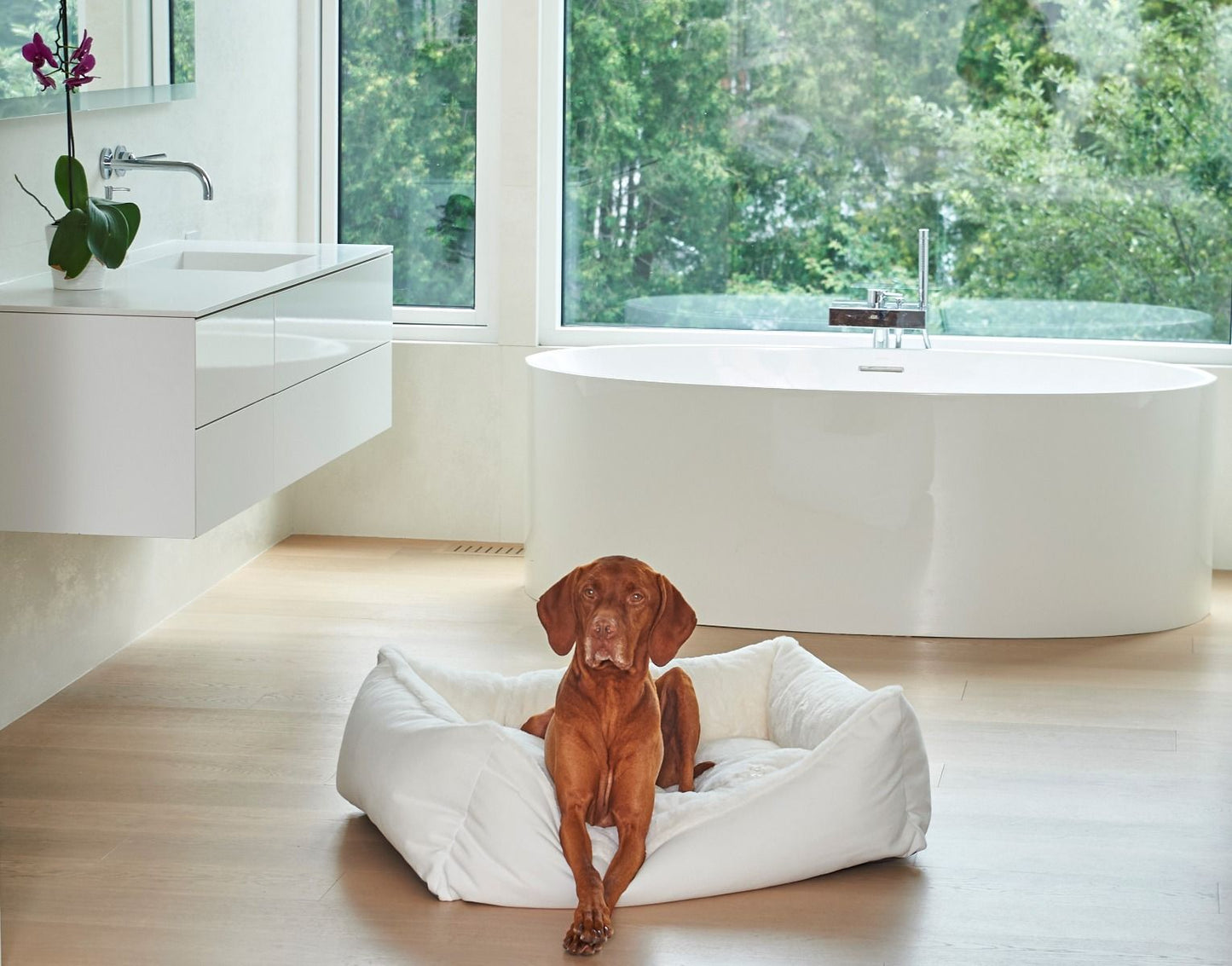 Dog Image in White Faux Fur Scoop Shaped Dog Bed from Bowsers in 4 sizes