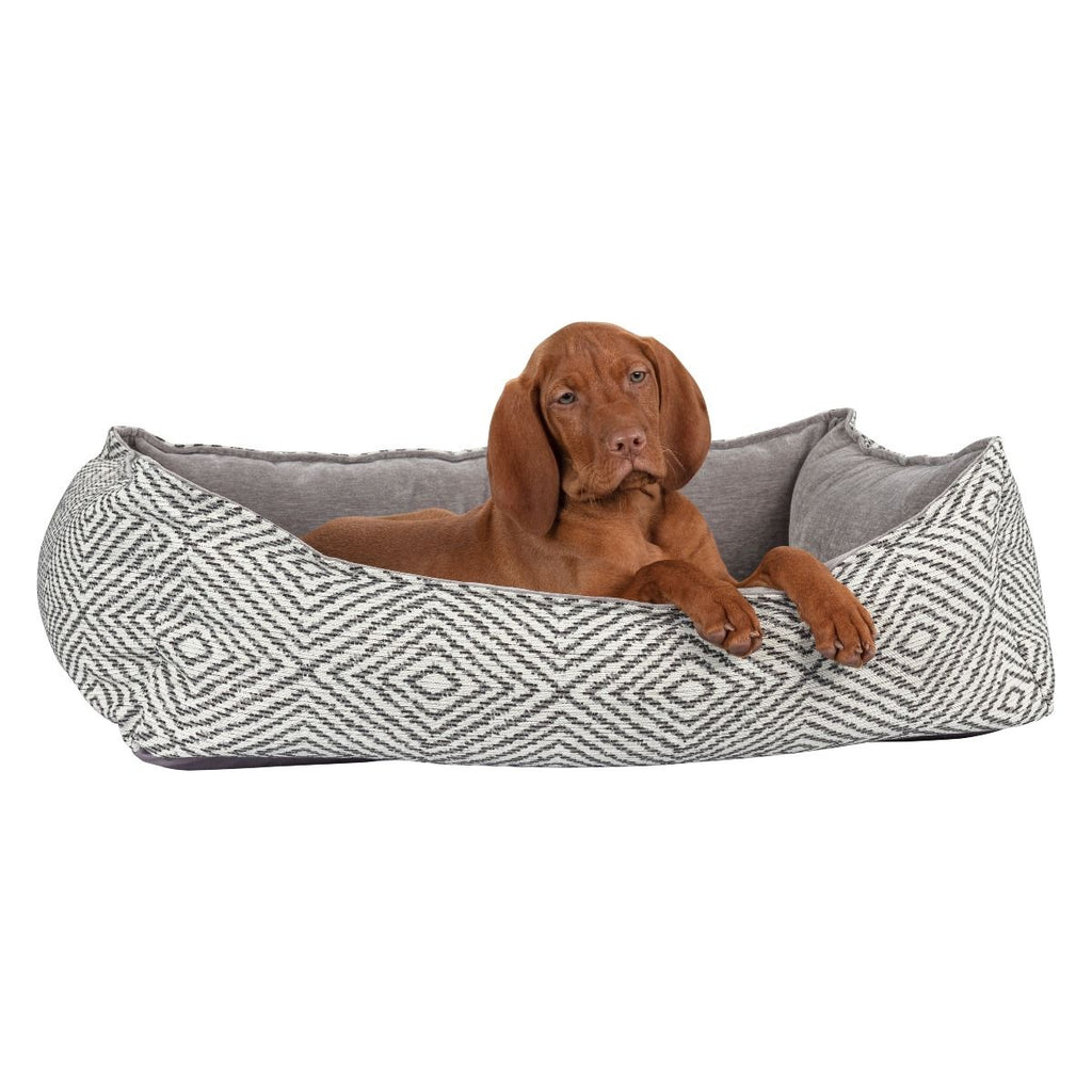 Scoop shape Bowsers Pet Bed with dog image