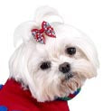 Dog Hair Bows-Mitten Printed Grosgrain - A Pet's World
