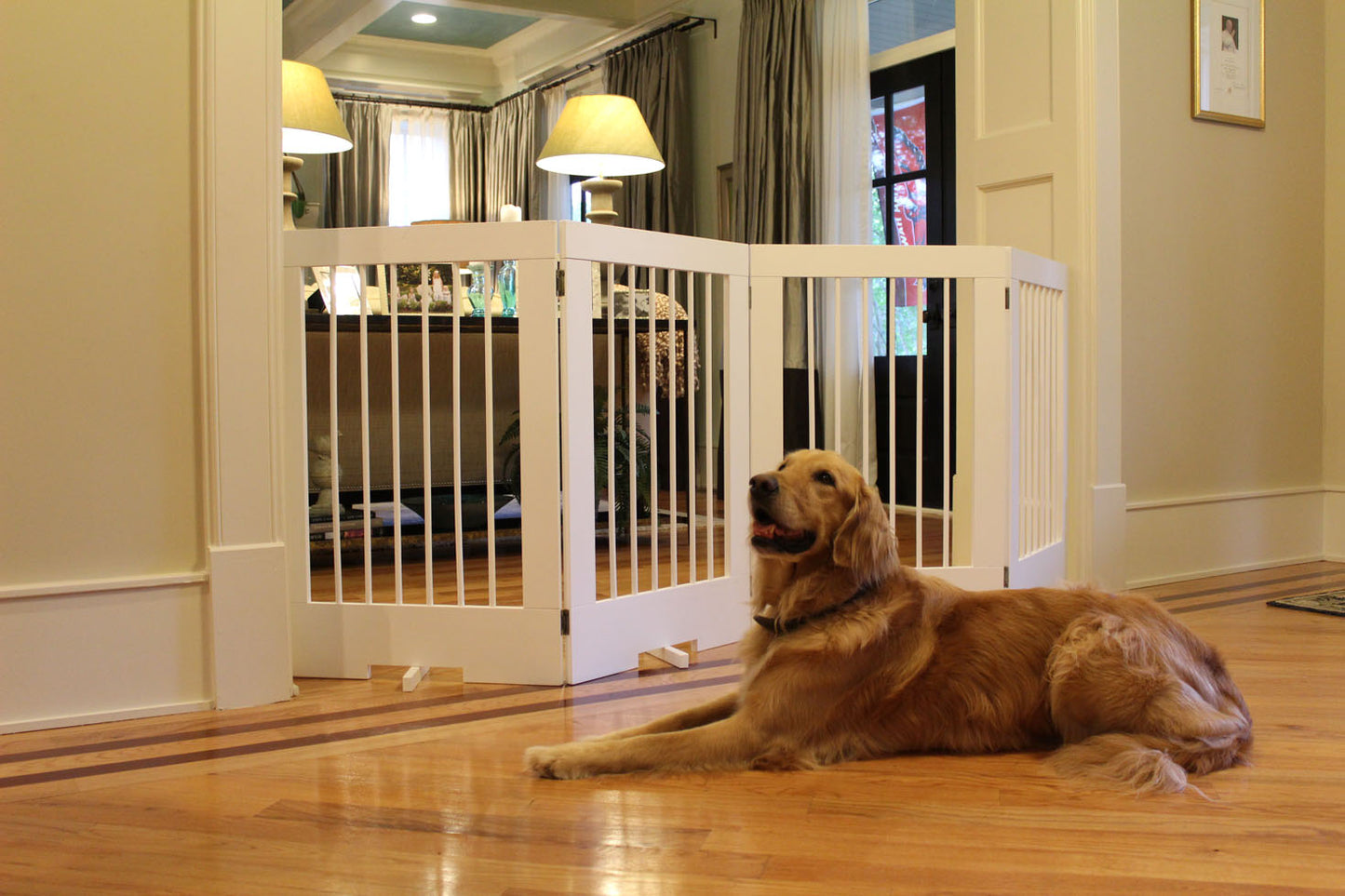 Free Standing Tall Pet Gate - A Pet's World