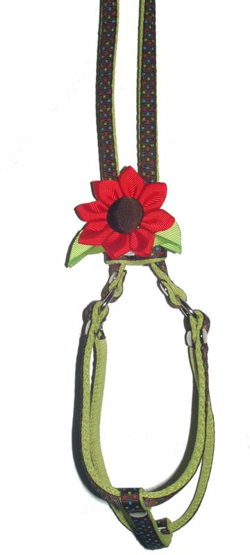 Enhancer-Button Sunflower - A Pet's World