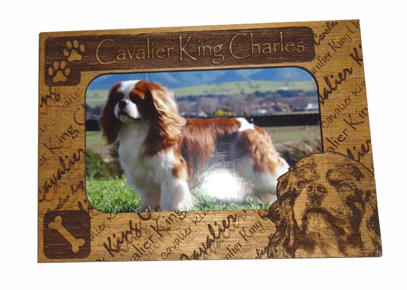 Magnetic 3 X 5 Photo Mattes for Cats and Dogs - A Pet's World