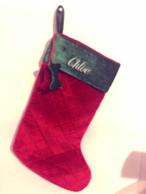Dog Stocking for Chloe