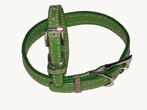 Leather Dog Collars - A Pet's World