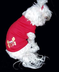 Dog T-Shirt- Crab - A Pet's World