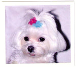 Load image into Gallery viewer, Dog Hair Flowers-Sequin Petal Flowers with Elastics - A Pet&#39;s World
