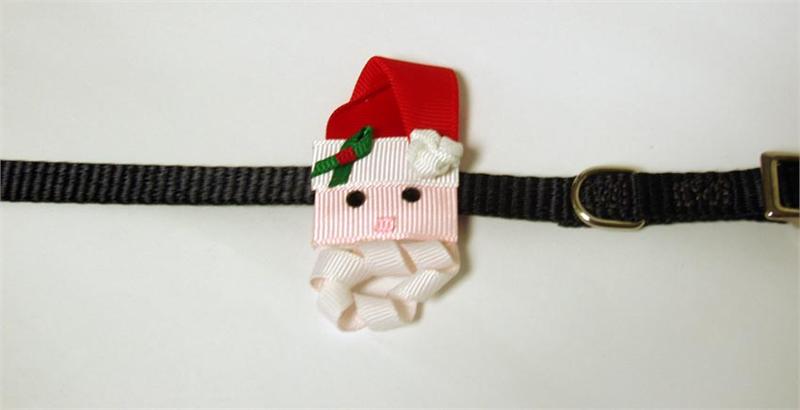 Enhancer-Santa Clause - A Pet's World