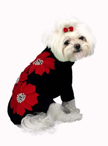 Dog Sweaters-Poinsettia Flowers - A Pet's World