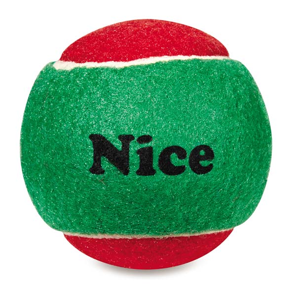 Dog Toys-Naughty and Nice Tennis Balls - A Pet's World