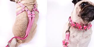 Ribbon One Piece Step-In Harness--Gingham Petal Flowers and Pearls - A Pet's World