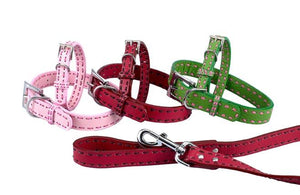 Quality Leather Dog collars and leashes with contrasting saddle stitch detailing