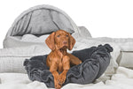 Load image into Gallery viewer, Round Dog Bed | A Pet’s World
