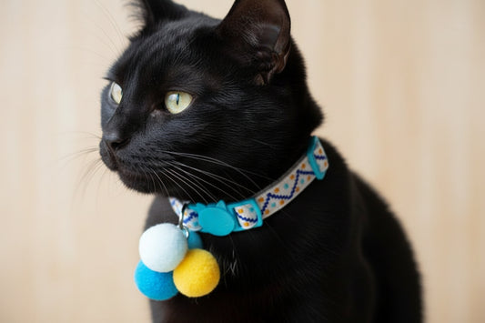 cat collar with blue and yellow pompoms
