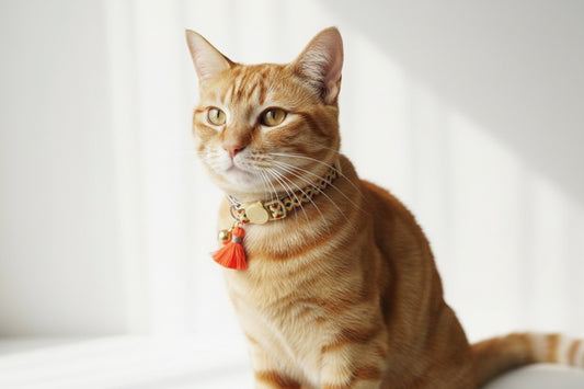 orange beige cat collar with tassle and bell