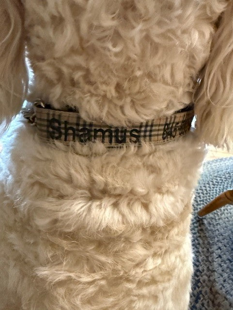 Embroidered Tan Plaid collar