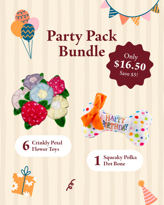 Party Pack Bundle