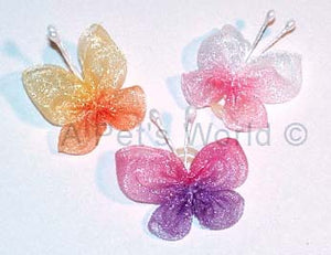 Dog Hair Accessories- Butterflies with Elastic Grooming Bands - A Pet's World