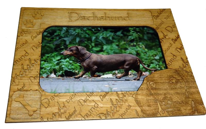 Magnetic 3 X 5 Photo Mattes for Cats and Dogs - A Pet's World