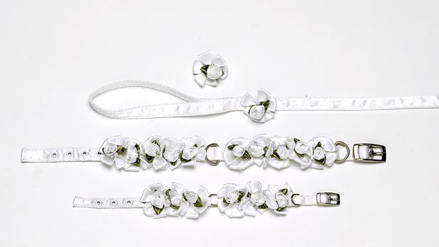Embellished White Ribbon Dog Collars with Petal Flowers and Pearls - A Pet's World