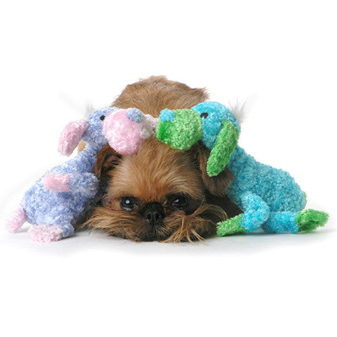 Dog Toys - Floppy Puppies - A Pet's World