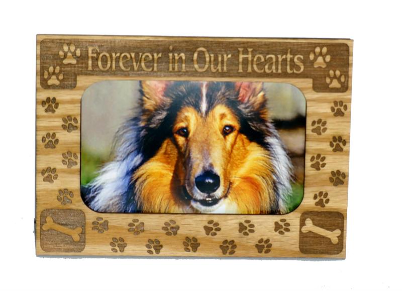 Magnetic 3 X 5 Photo Mattes for Cats and Dogs - A Pet's World