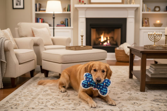 Hanukkah dog bone toy