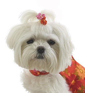 Dog Hair Flowers- Chenille Flowers with Elastics - A Pet's World