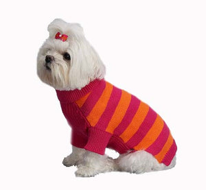 White Maltese Modeling Azalea + Orange Rugby Stripe Turtleneck  Cotton dog Sweater