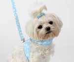 Load image into Gallery viewer, Dog Hair Accessories-Dog Bone Barrettes - A Pet&#39;s World
