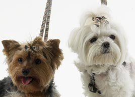 Dog Hair Bows-Tan Plaid Bow with Tails - A Pet's World