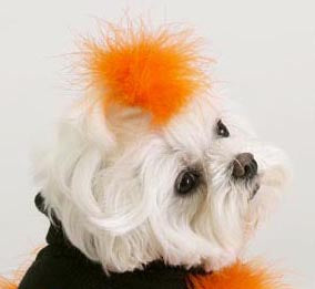 Dog Hair Accessory-Maribou Barrette - A Pet's World
