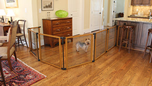 Perfect Fit Freestanding Pet Gate with Door - A Pet's World