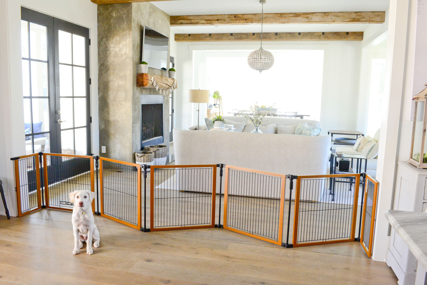 Perfect Fit Freestanding Pet Gate with Door - A Pet's World