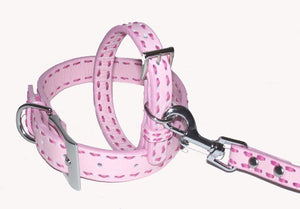 Leather Dog Collars - A Pet's World