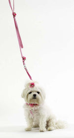 Load image into Gallery viewer, Ribbon One Piece Step-In Harness--Gingham Petal Flowers and Pearls - A Pet&#39;s World
