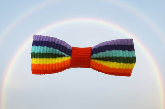 Dog Hair Bow - Pride Bow Tie - A Pet's World
