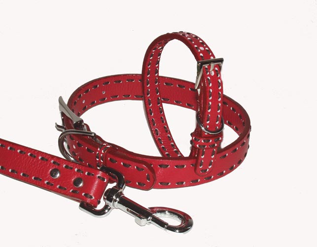 Leather Dog Collars - A Pet's World