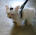 Load image into Gallery viewer, Ribbon One Piece Step-In Harness-Black and White Polka Dots - A Pet&#39;s World

