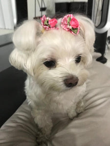 Suki with 2 Pink Gingham Petal Flower Pearl Bows