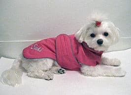 Dog Coat- Waterproof with Fleece Lining and Reflective Piping - A Pet's World