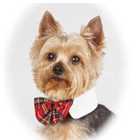 Load image into Gallery viewer, Red Tartan Plaid Bow Tie White Collar Size - A Pet&#39;s World
