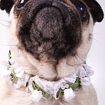 Load image into Gallery viewer, Embellished White Ribbon Dog Collars with Petal Flowers and Pearls - A Pet&#39;s World
