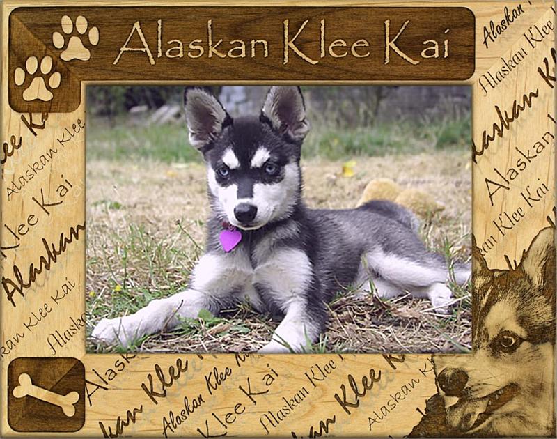 Choose Your Dog Breed Photo frame - A Pet's World