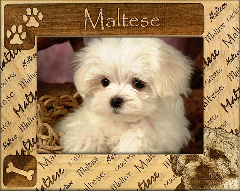 Choose Your Dog Breed Photo frame - A Pet's World