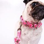 Load image into Gallery viewer, Embellished Pink Gingham Ribbon Dog Collars with Petal Flowers and Pearls - A Pet&#39;s World
